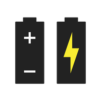 Alkaline Dual Power
